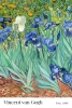 Vincent van Gogh - Irises Variante 2