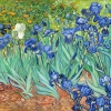 Vincent van Gogh - Irises Variante 2