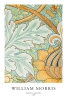 William Morris - St James Variante 3