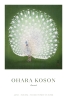 Ohara Koson - Peacock Variante 1