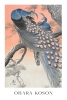 Ohara Koson - Two Peacocks on Tree Branch Variante 2