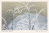 Kamisaka Sekka - Moon and Grass Variante 2