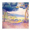 Henri-Edmond Cross - Pines Along the Shore Variante 2