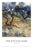 Vincent van Gogh - Olive Trees: Bright blue sky Variante 2