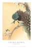 Ohara Koson - Peacock in Cherry Tree Variante 2