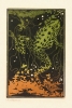 Julie de Graag - Swimming Frog Variante 1