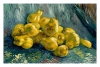 Vincent van Gogh - Still Life with Quinces Variante 2