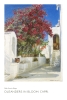 Peder Severin Krøyer - Oleanders in bloom. Capri. Variante 2