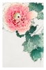 Watanabe Seitei - Tree Peony Variante 1