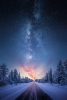 Snowy Northern Lights Variante 1