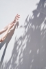 Touching Shadows Variante 1
