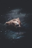 Swimming Bear Variante 1