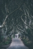 Gnarly Road Variante 1