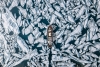 Icebreaker Variante 1