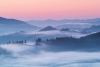 Fog Variante 1