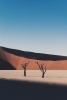 Parallels Variante 1