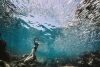 Swim with Us Variante 1