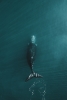 Breaching the Surface Variante 1