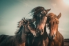 Horses at Dusk Variante 1
