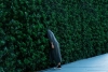Now You Can't See Me Variante 1
