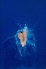 Splash Variante 1