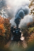 Steam Locomotive Variante 1