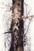 Sunny Tree Variante 1