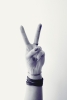 V-Sign Variante 1
