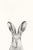 Animal Heads No. 1 - Hare Variante 1