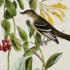 Tapestry with Birds No. 1 Variante 1