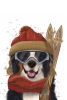 Cool Dog No. 1 Variante 1