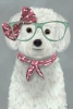 Cool Dog No. 2 Variante 1