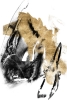 Elegant Pandemonium No. 4 Variante 1