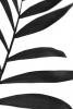 Palm Frond Variante 1