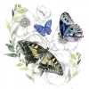 Butterfly Encounters No. 1 Variante 1