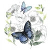 Butterfly Encounters No. 2 Variante 1