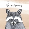 Be Curious Variante 1