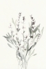 Delicate Herbs No. 3 Variante 1