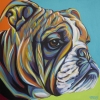 Colourful Dog Portrait No. 1 Variante 1