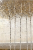 Birches in Fall No. 1 Variante 1