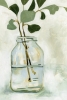 Eucalyptus Branch No. 2 Variante 1