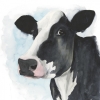 Cow Close-Up No. 1 Variante 1