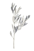Gentle Bough No. 2 Variante 1
