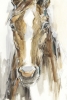Horse Friend No. 2 Variante 1