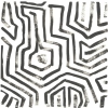 Abstract Turtle Shells No. 3 Variante 1