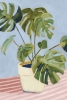 Neat Plant Pot Variante 1