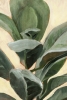 Study in Green No. 2 Variante 1