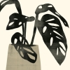 Black Plant No. 1 Variante 1