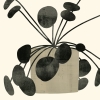 Black Plant No. 4 Variante 1