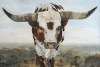 Big Horns No. 2 Variante 1